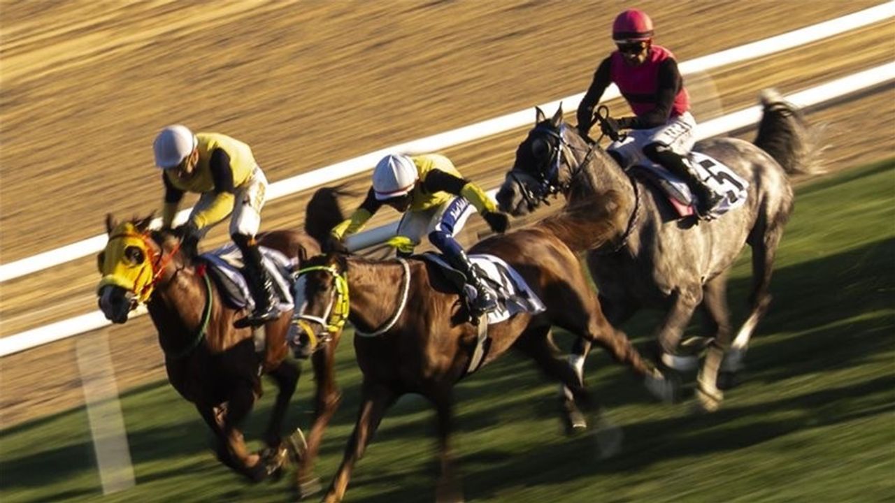 87. Cumhurbaşkanlığı Koşusu’nu  Grande Flusso kazandı