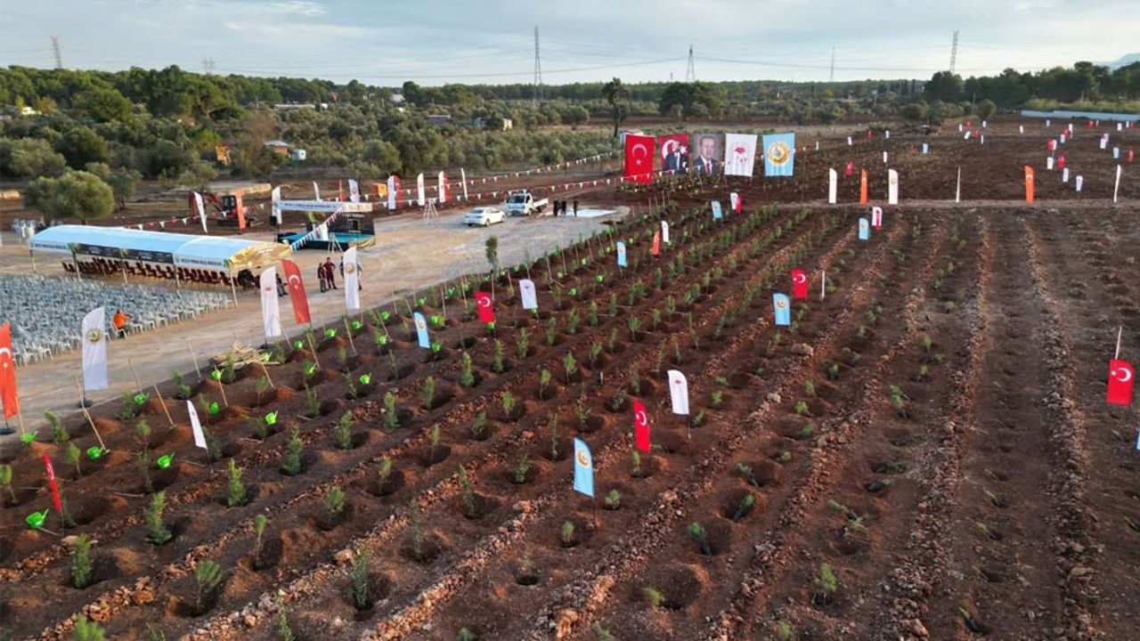 11 Kasım “Milli Ağaçlandırma Günü” için hazırlıklar tamamlandı