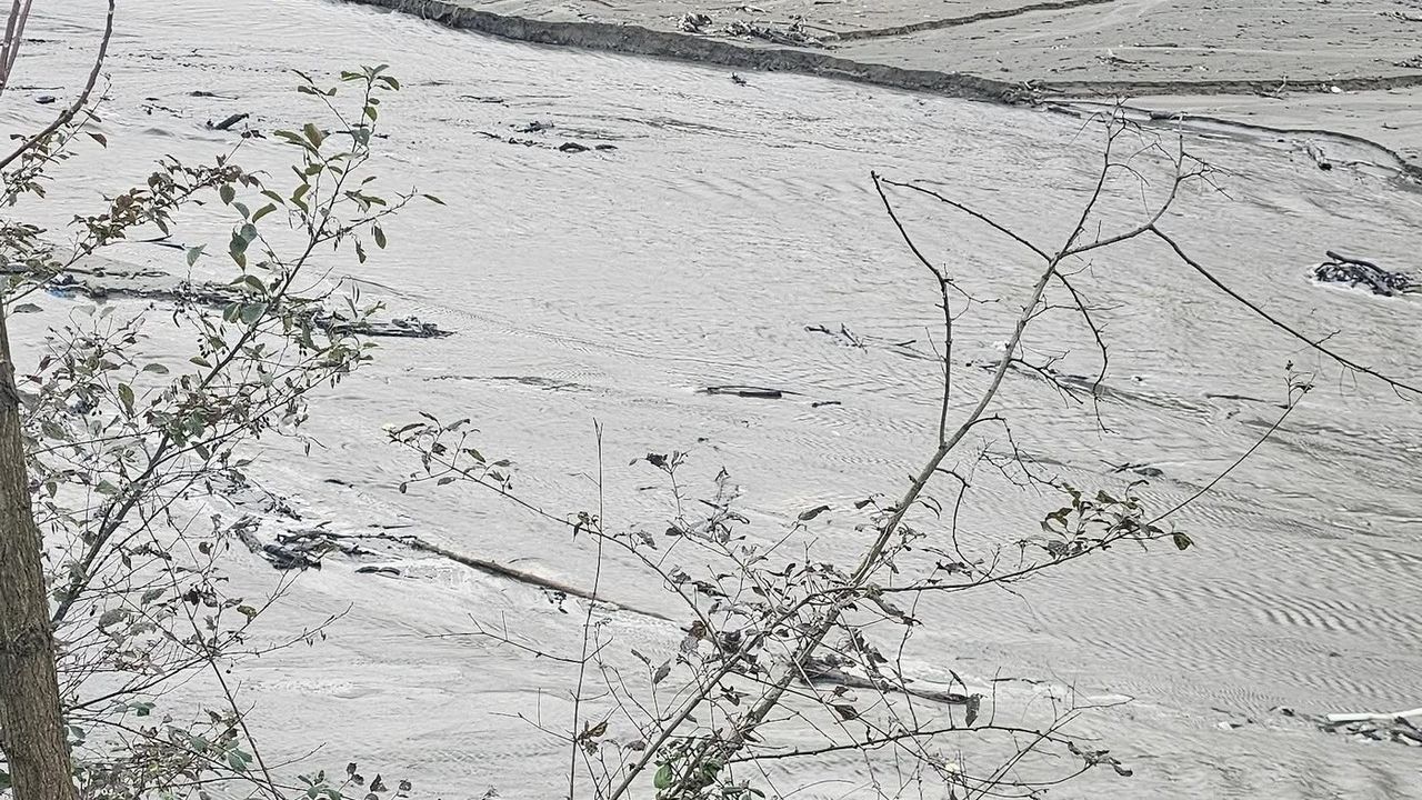 Harşit Çayı’nda tehlike çanları çalıyor