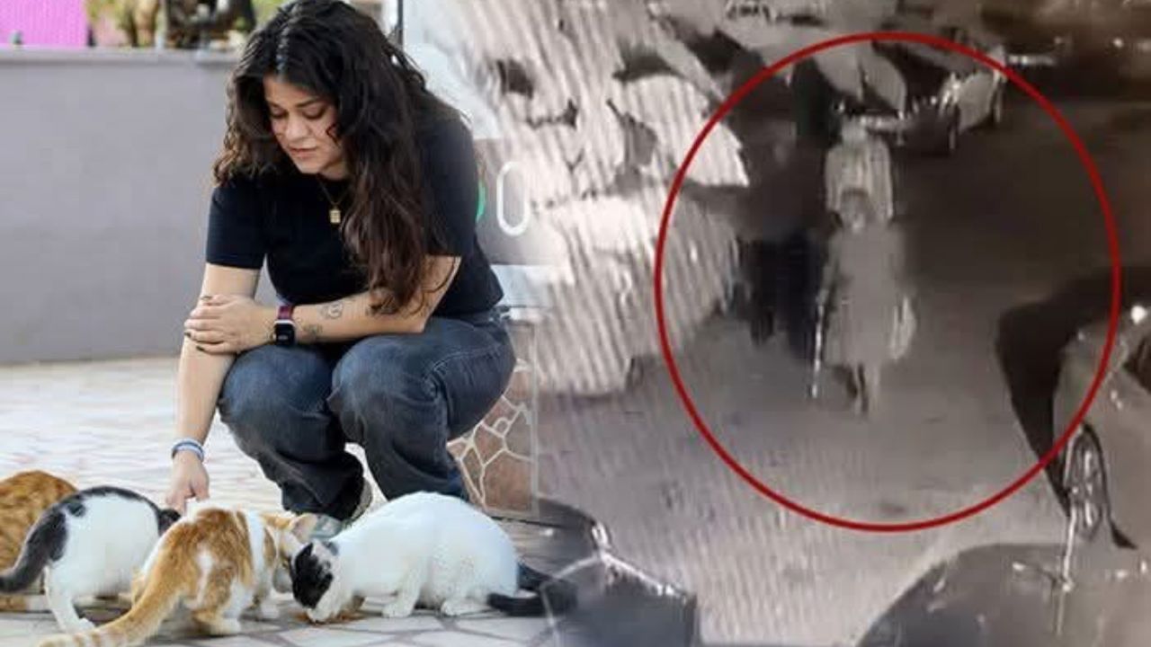 Antalya’da kediye bastonla saldırı iddiası