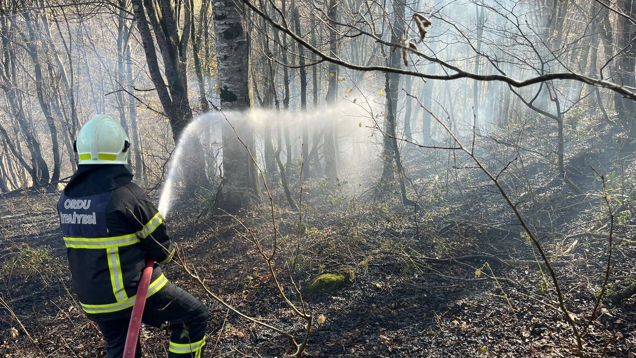 Ordu’da son bir haftada 40 yangın