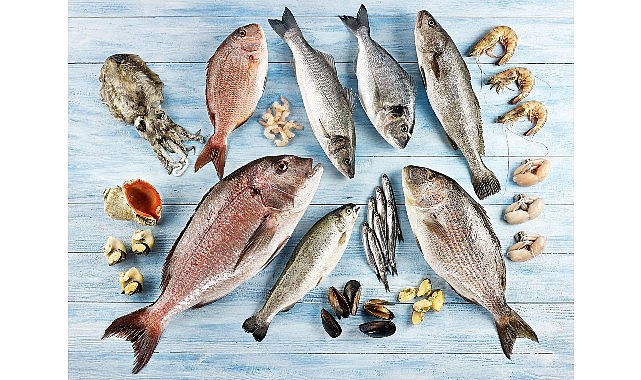 Su ürünleri ve hayvansal mamuller ihracatının yüzde 47’si Ege Bölgesi’nden yapıldı