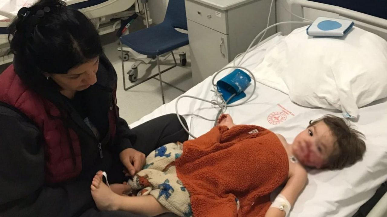 ra’da pitbull iki kardeşe saldırdı: Köpeğin sahibi gözaltına alındı