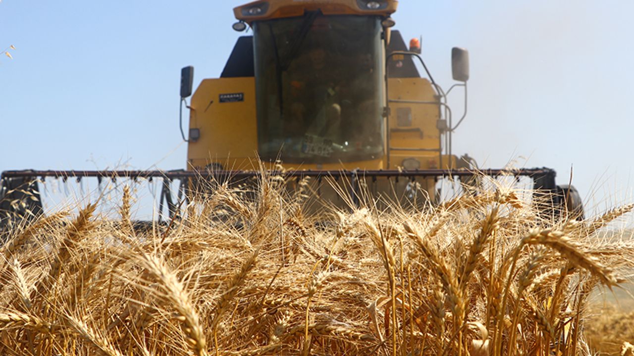 Kasım ayında üreticilere 376,8 milyon lira destek ödemesi yapıldı