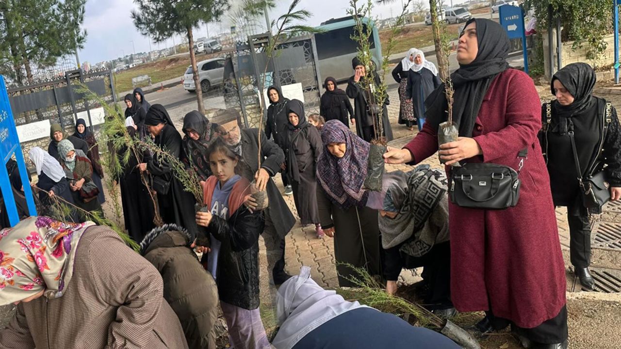 Batman’a ücretsiz fidan dağıtımı