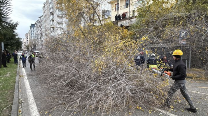Türkiye Fırtınaya Teslim: Dev Ağaçlar Devrildi, Çatılar Uçtu, Zincirleme Kazalar Meydana Geldi!