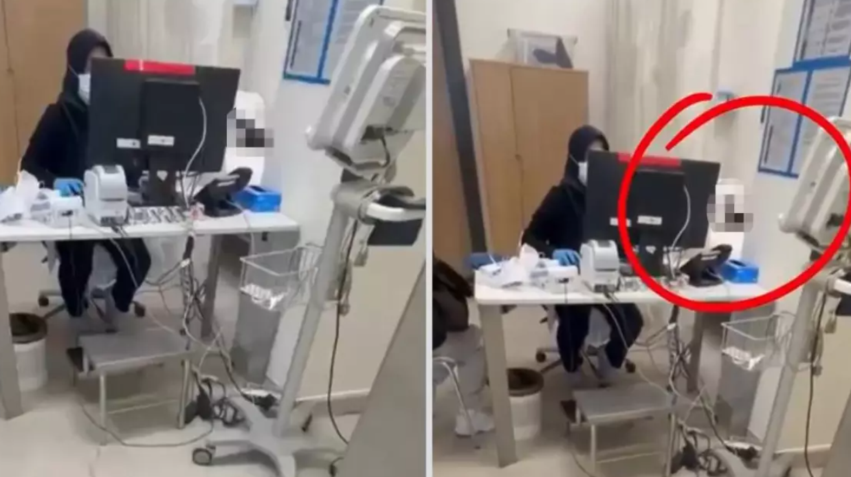 Şehir Hastanesinde Şoke Eden Manzara: Muayene Sedyesinde “Davetsiz Misafir”