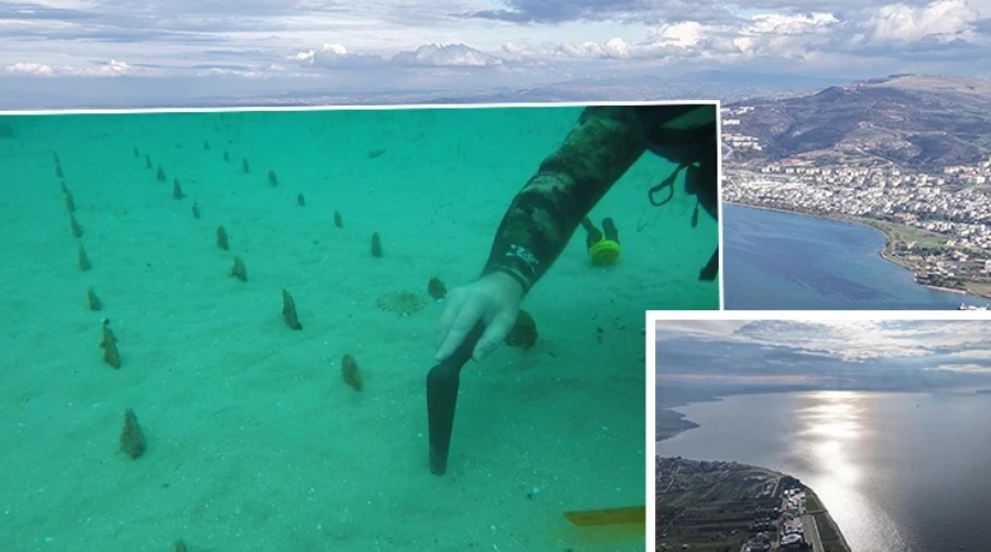 Çanakkale Boğazı’nda Su Altı Seferberliği: ‘Mezarlığa Dönüşen’ Boğaz Tabanına Yeni Hayat Ekiliyor!