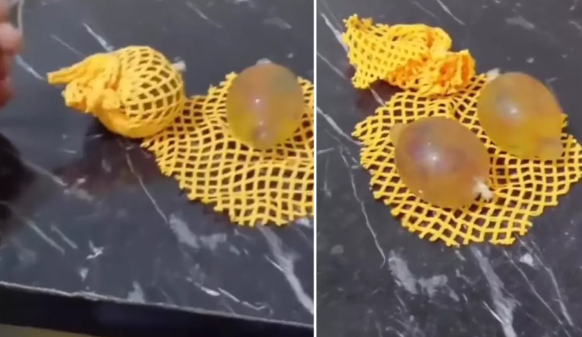 Oyuncak Değil Skandal: “Su Maymunu”nun İçinden Prezervatif Çıktı!