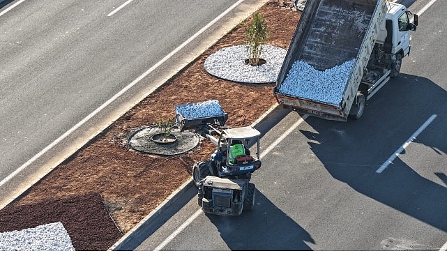 Başkan Çerçioğlu’ndan Acarlar–Şehir Hastanesi Yolunda Peyzaj Düzenlemesi