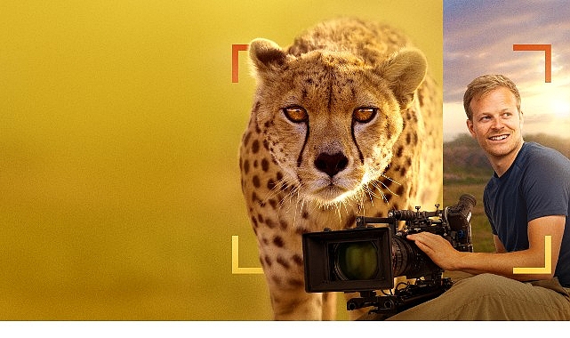 ‘Bertie Gregory Çitalarla Yüz Yüze’,   3 Ocak Cumartesi 20.00’de   National Geographic WILD Ekranlarında!