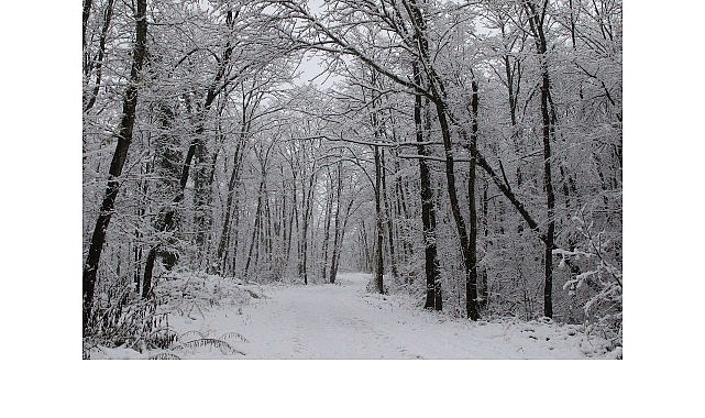 Ormanya’da kartpostallık kış manzaraları