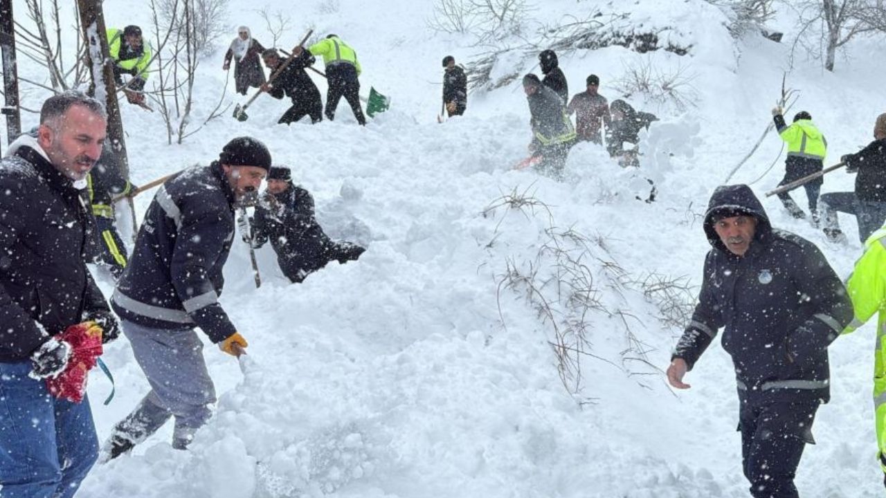 Van’ın Çatak ilçesinde iki mahalleye çığ düştü: Bir kadın çığ altında kaldı