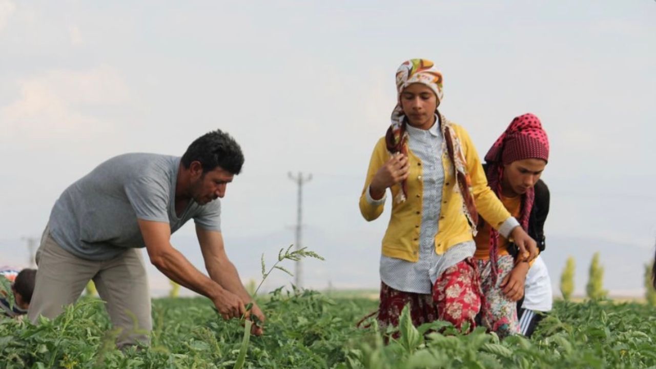 Tarım işçileri için 2026 yevmiye tavsiyesi açıklandı