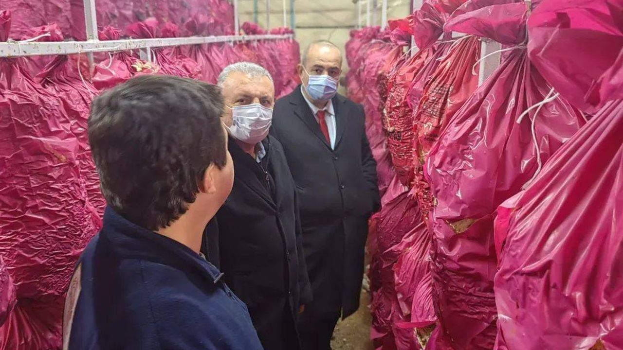 Mantarcılık kursunda teori ve uygulama buluştu