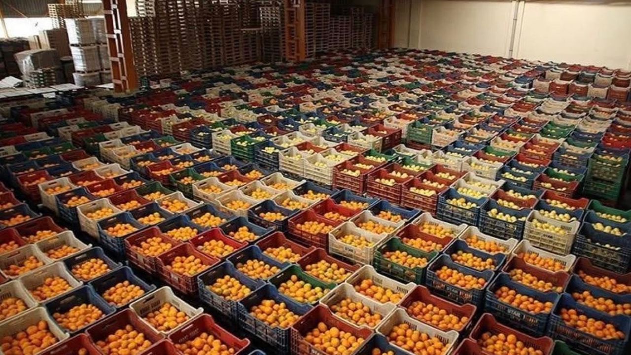 Antalya ihracatının yüzde 57’si tarımdan