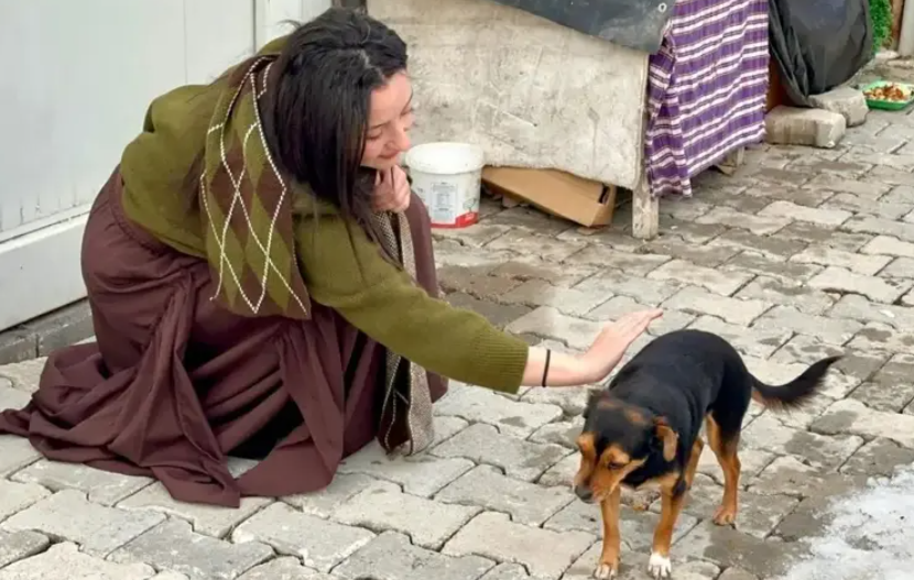Boncuk ve Fatma Arat: Bir Konteyner Kent Mucizesi