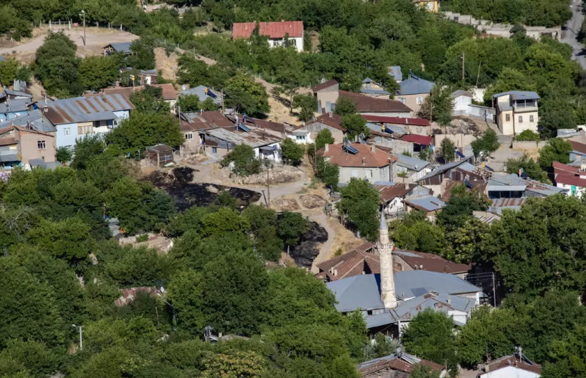 Elazığ’da Çiçek Hastalığı Alarmı: 6 Köy Karantinada