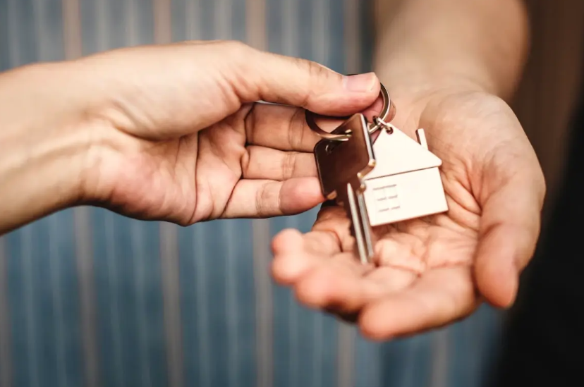 Sahte İlanlara “E-Devlet” Kilidi