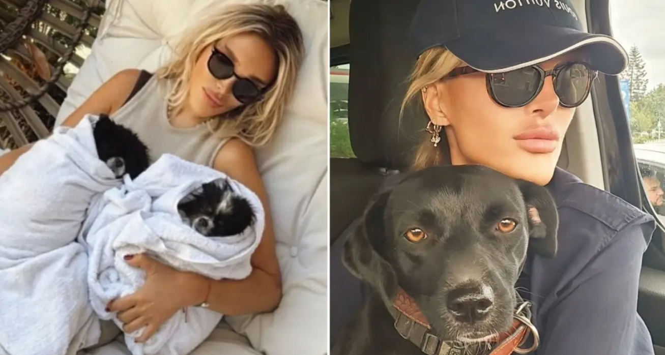 Seren Serengil’den Radikal Karar: İstanbul’un Kaosundan Ormana Kaçış