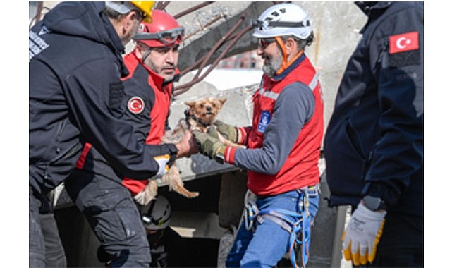 Afetzede hayvanlar için ilçelere arama kurtarma eğitimi