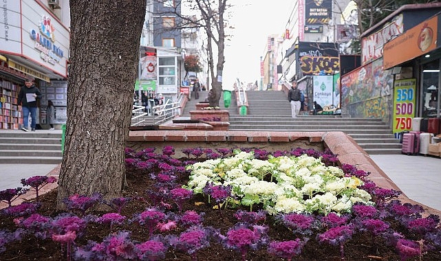 Çansera’dan Kent Merkezine Kış Renkleri