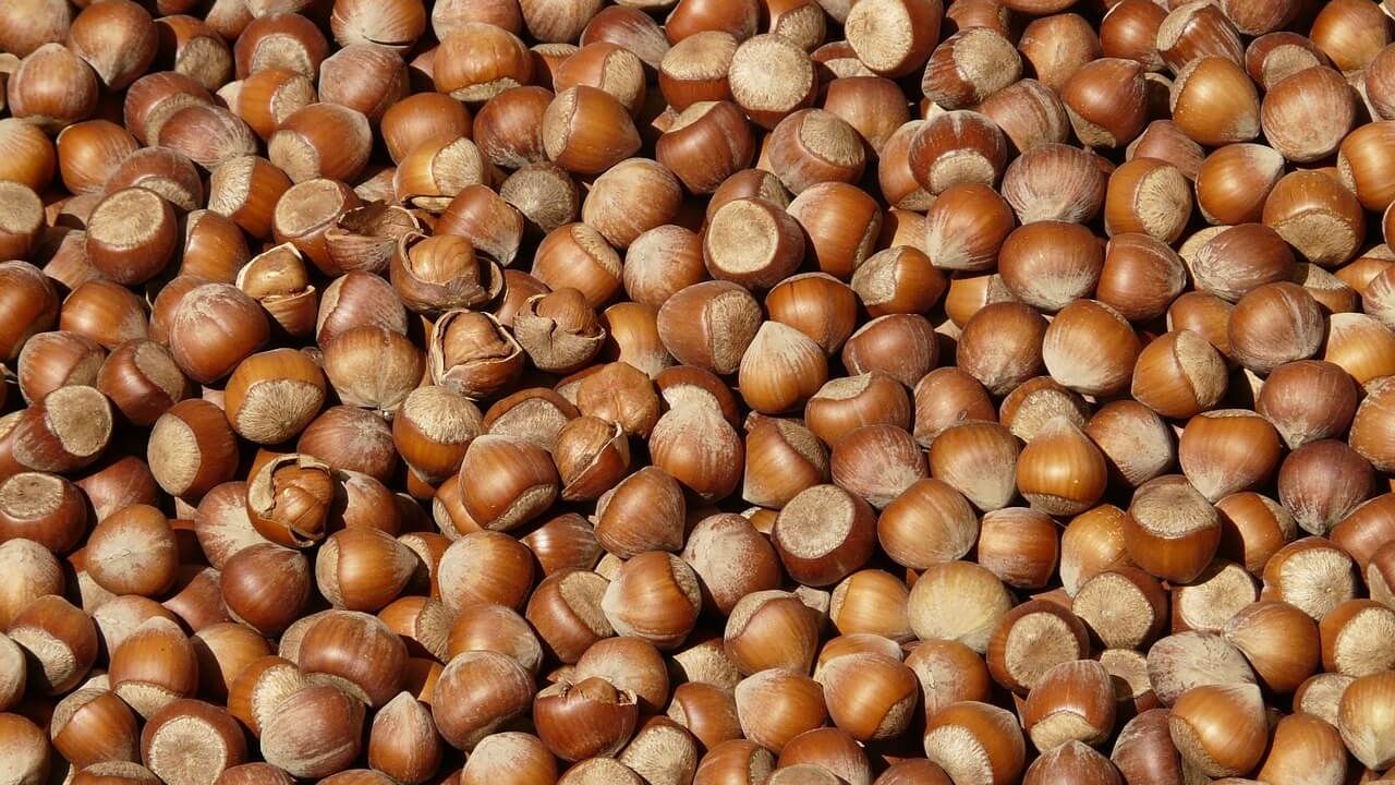 Doğu Karadeniz’in ocak ayı ihracatı 125,5 milyon doları geçti