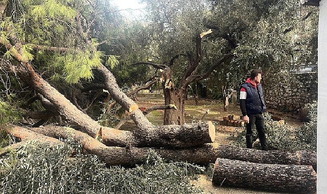 Şiddetli Fırtına Nedeniyle Yaşanan Olumsuz Durumlara Milas Belediyesi Anında Müdahale Etti