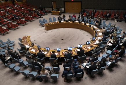 Birleşmiş Milletler: Kriz İçin Acil Toplantı