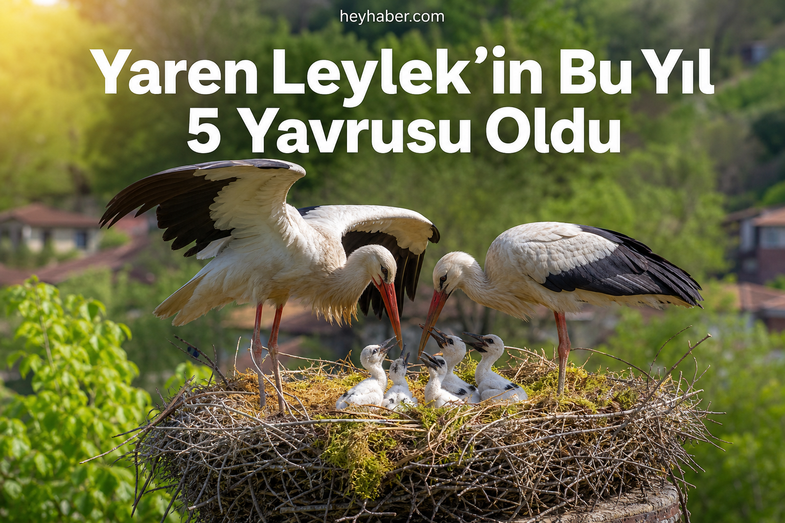 Yaren Leylek’in Bu Yıl 5 Yavrusu Oldu