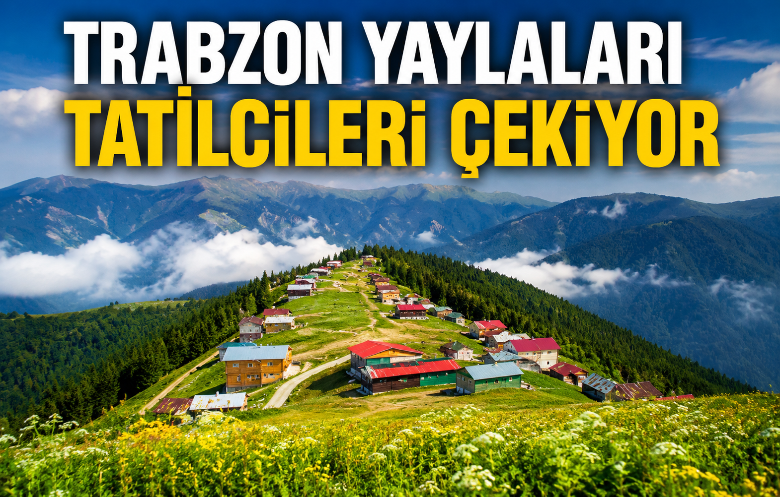 Trabzon Yaylaları Tatilcileri Çekiyor