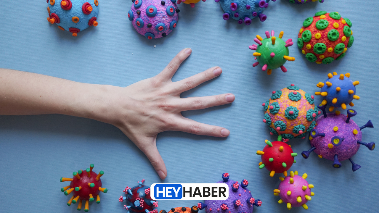 Hantavirüs Tek Değilmiş! İşte En Ölümcül 4 Zoonotik Hastalık