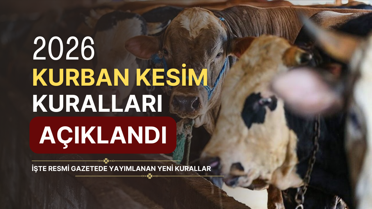 Kurban Bayramında Kesim Yapacaklar Dikkat! İşte Yeni Kurallar